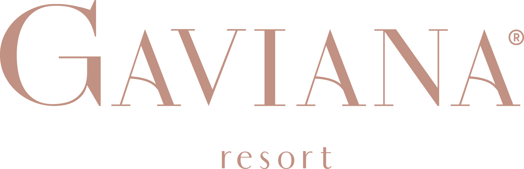 Gaviana wordmark